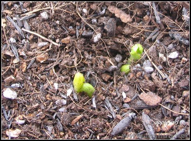 ��Ƭ20080229 132.jpg