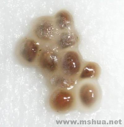 �������һ�ݾͳ��˽�����