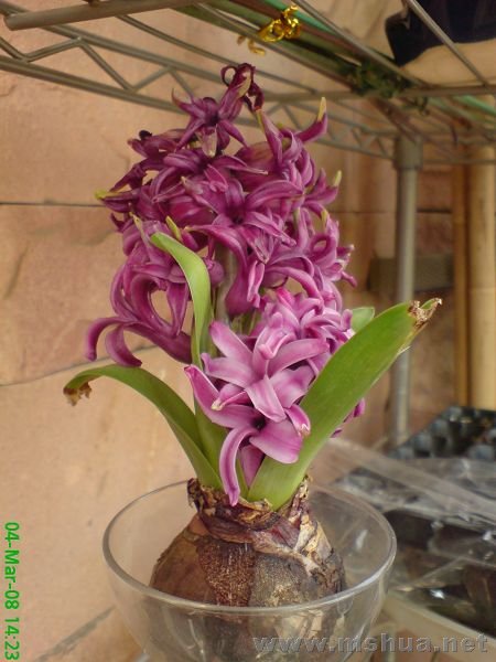 ����ˮ��ģ����˺�һ��ʱ���ˣ�һֱû������ٻӰ