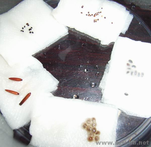 ���쿪ʼ��ֽ���ݵ����ӡ�