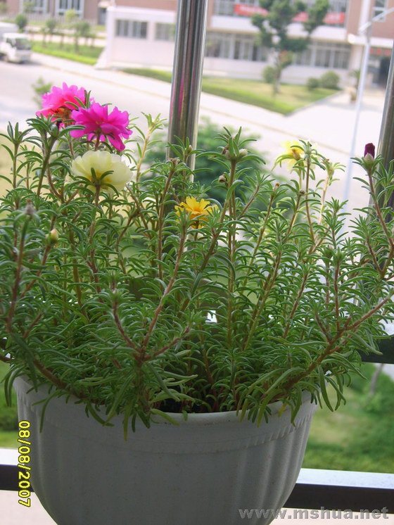 S8005563.JPG