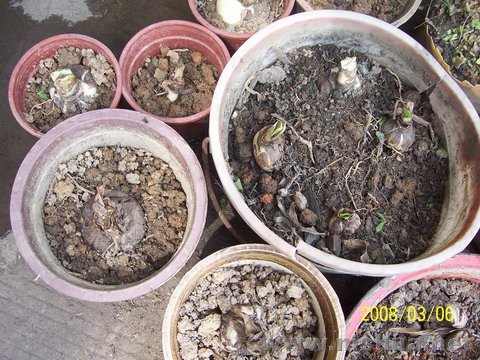 200803 002.jpg