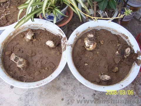 200803 003.jpg
