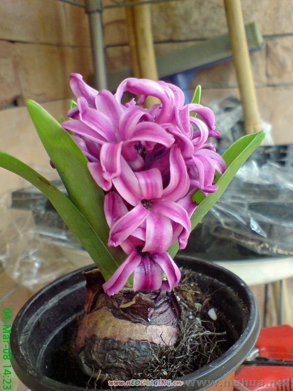 DSC07124_edited.JPG