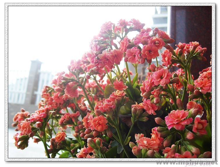 ��Ƭ 388_nEO_IMG.jpg