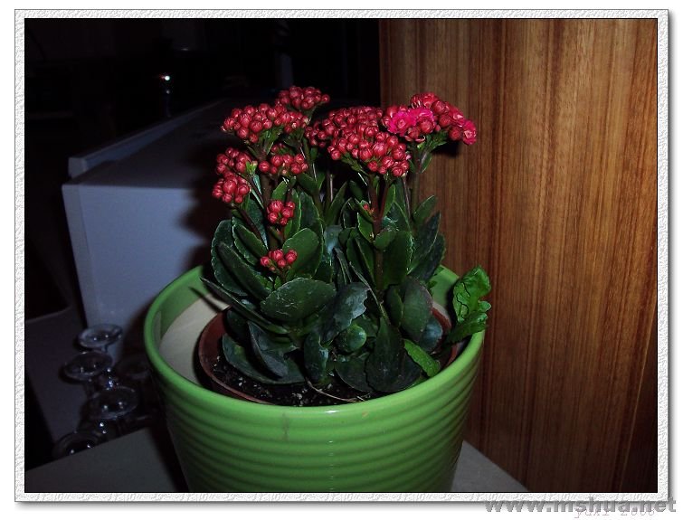 ��Ƭ 393_nEO_IMG.jpg