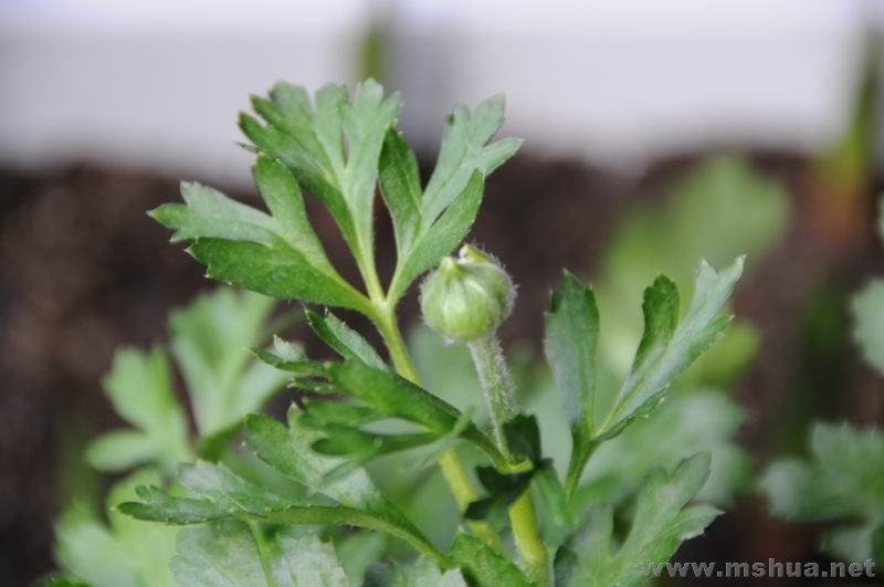 ������С hmgh0304.jpg