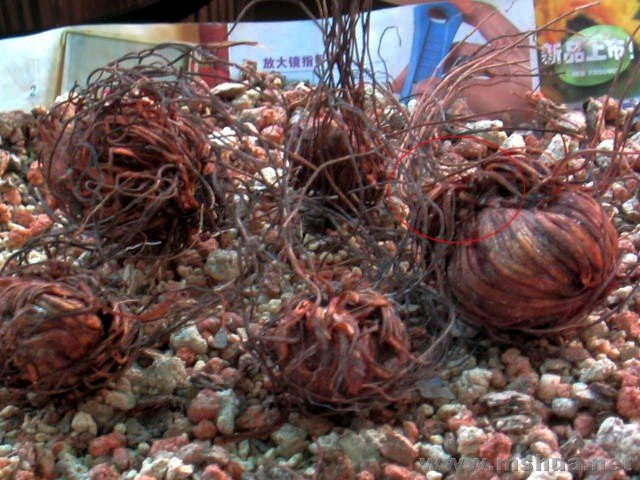 ����ĳλ���ѵ�ͼ,���ǲ�СԲȦ�����Ǹ�����~�Ҹо��е����ھ�������,10����8��