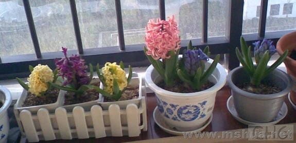 2008022.jpg