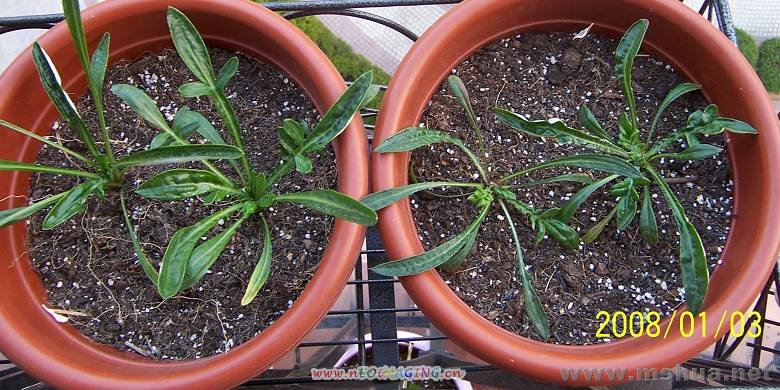 1�µģ�û����ٰɣ������л�����