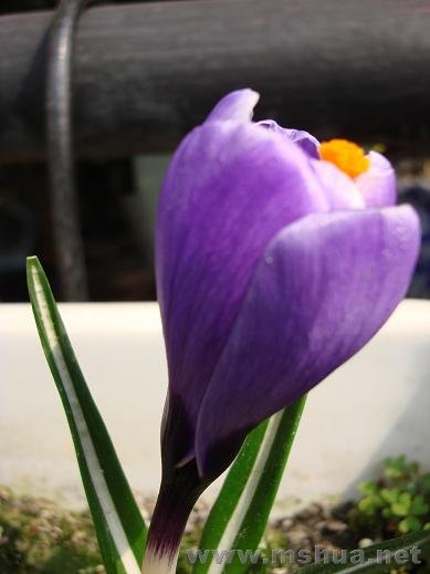 DSC04640.JPG
