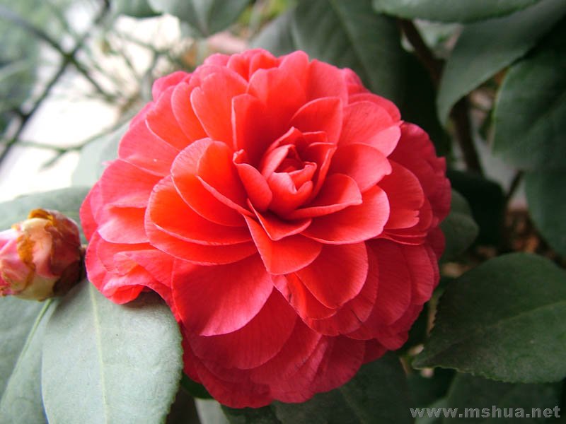 ������õ��