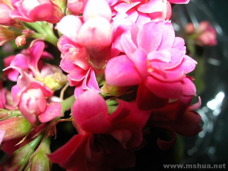 DSCN3805.JPG
