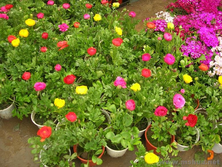 DSCN3786.JPG