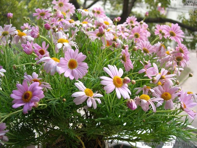 DSCN3816.JPG