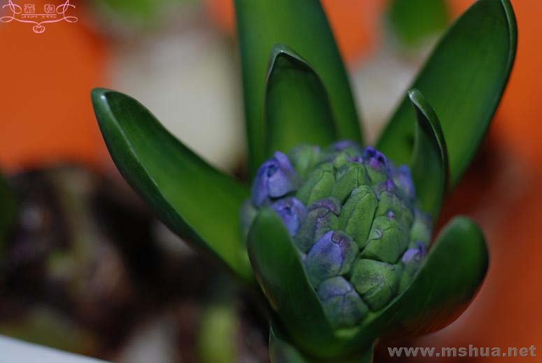 2��20 ����.jpg