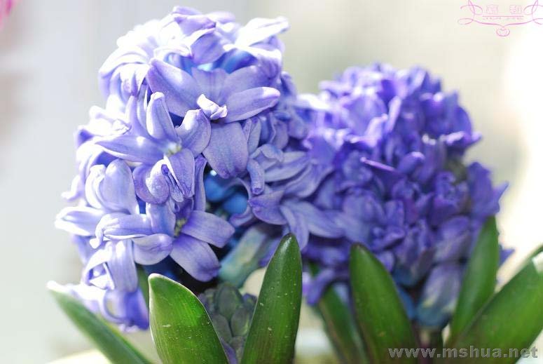 2��291 ����.jpg