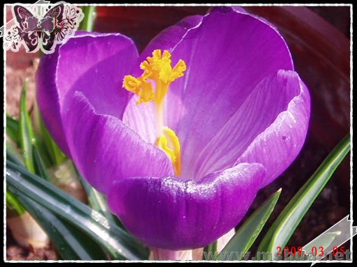 �����ӣ�80305��D.jpg