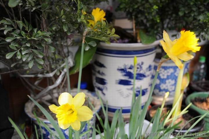 ������С ysx0308.jpg