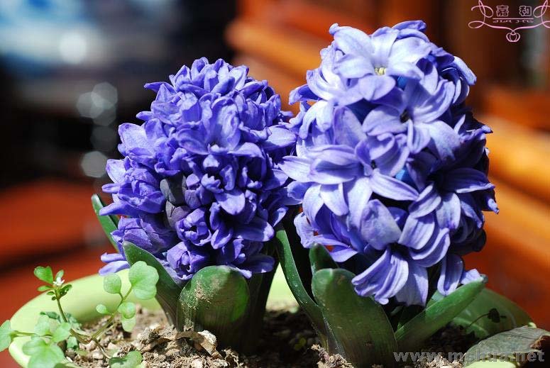 2��292 ����.jpg