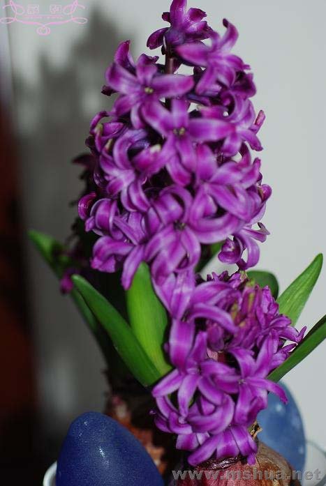 2��27 ����.jpg