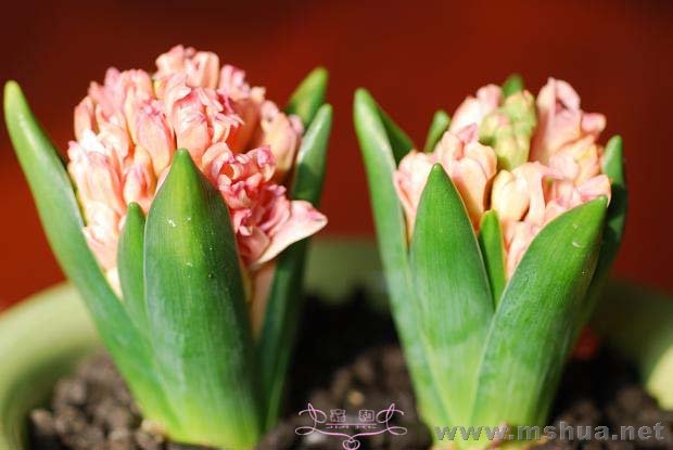 ��2 ����.jpg