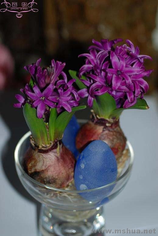 2��18 ����.jpg