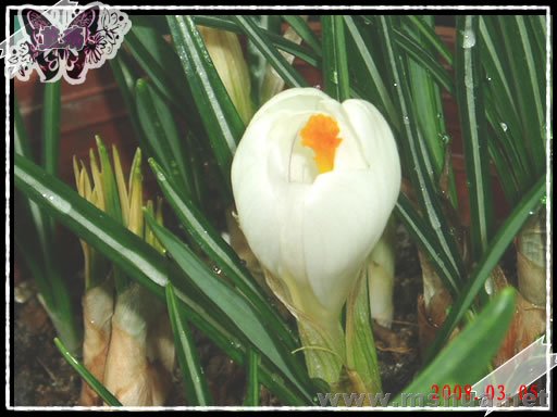 ���������ݣ�80305��.jpg