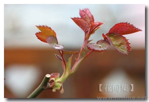 IMG_8160 ����.jpg