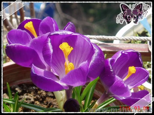 �����ӣ�80309��E.jpg