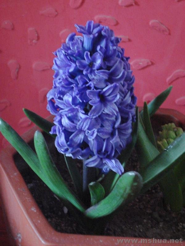 DSC00822.JPG