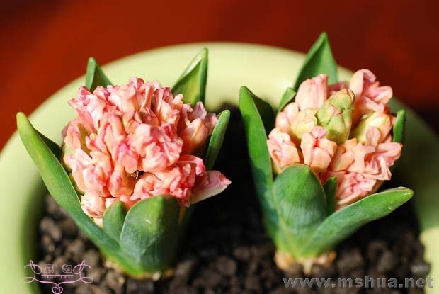 ��1 ����.jpg