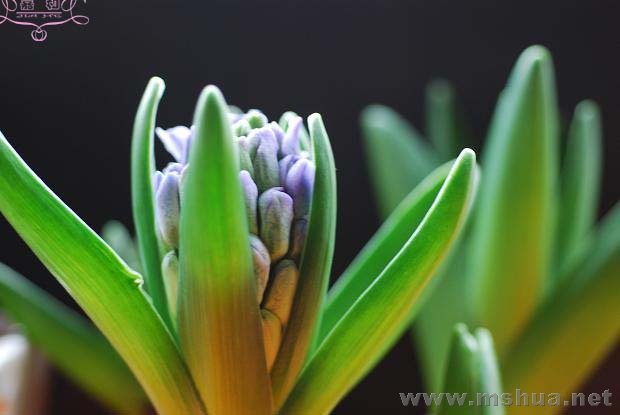 2��23��1 ����.jpg