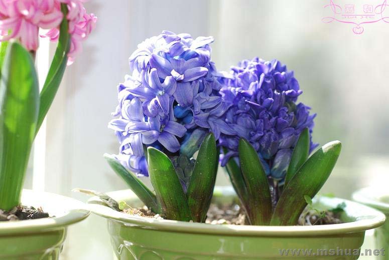 2��29 ����.jpg