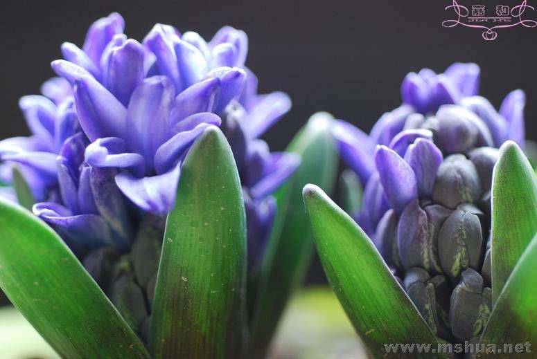 2��231 ����.jpg