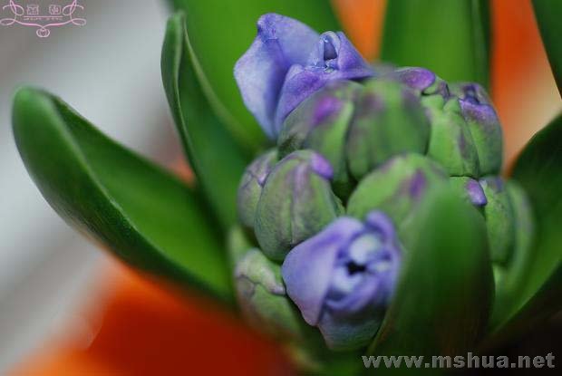 2��27 ����.jpg