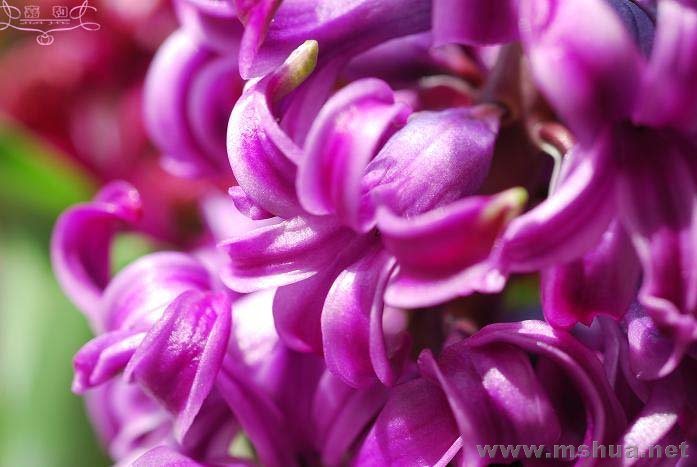 2��29 ����.jpg