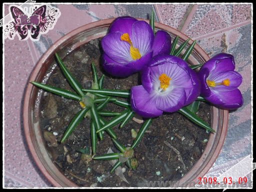 �����ӣ�80309��B.jpg