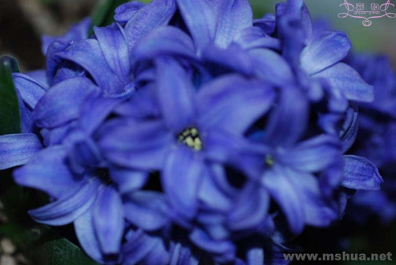 2��271 ����.jpg