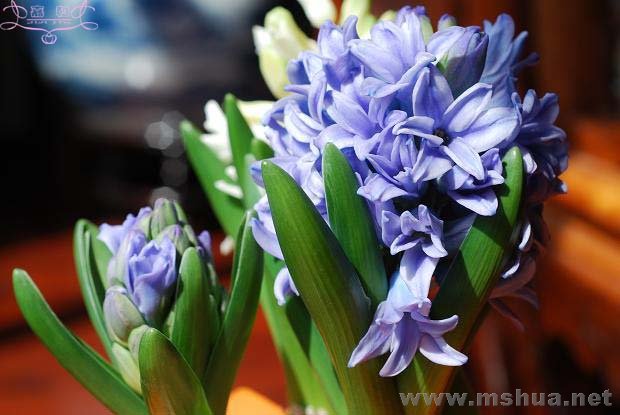 2��29 ����.jpg