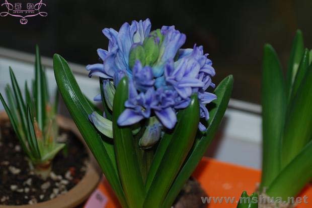 2��27��1 ����.jpg