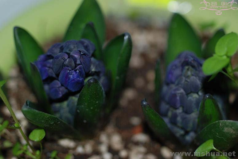 2��20 ����.jpg