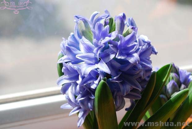 2��29��1 ����.jpg