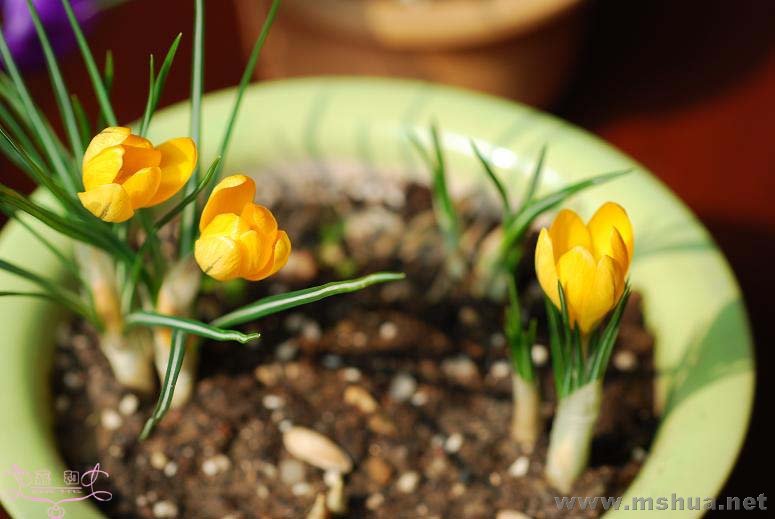 DSC_0118 ����.jpg