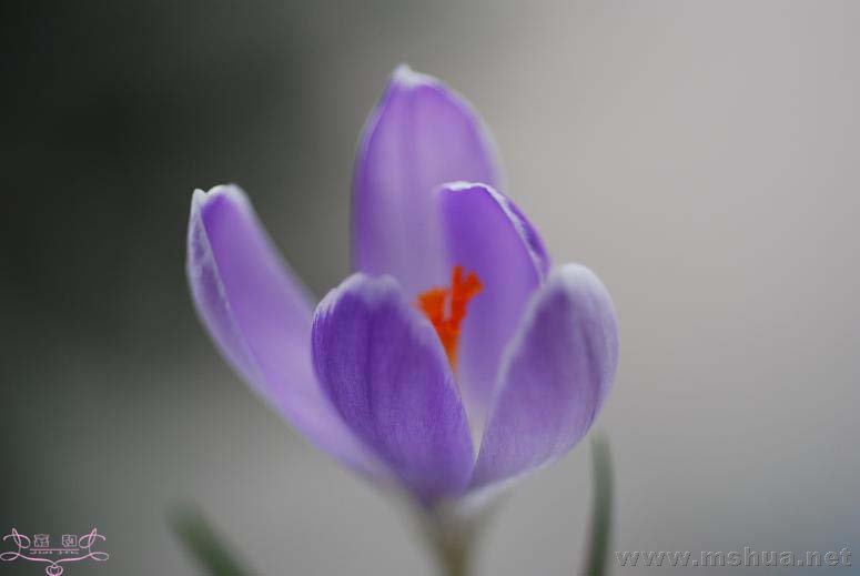 DSC_0081 ����.jpg