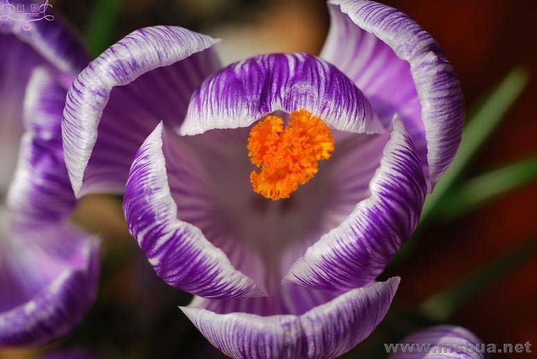 DSC_0115 ����.jpg