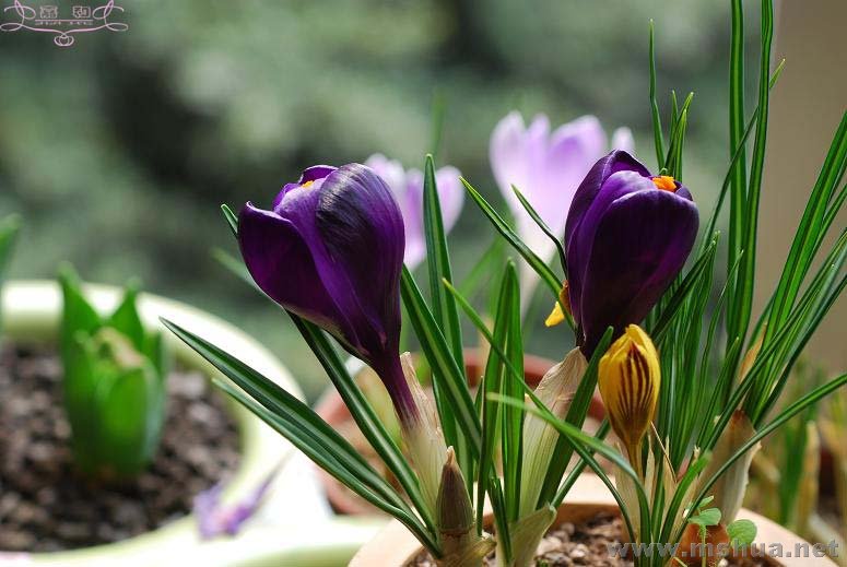 DSC_0082 ����.jpg