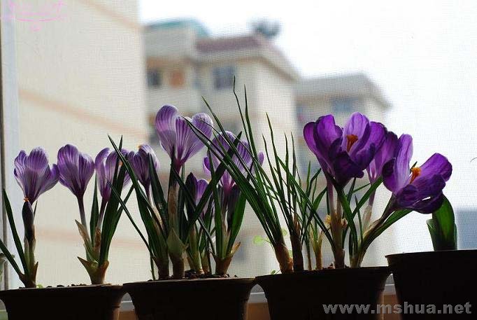 DSC_0107 ����.jpg