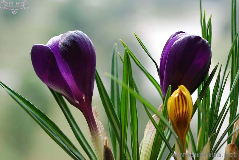 DSC_0085 ����.jpg