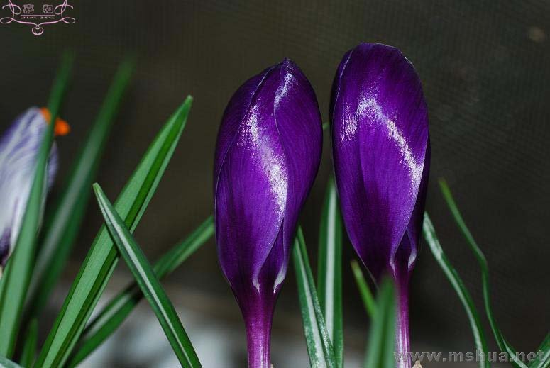 DSC_0092 ����.jpg